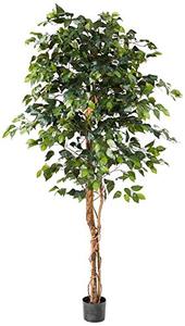 lot 9656 image: Nearly Natural 6ft. Ficus Artificial Trees, 72in, Green