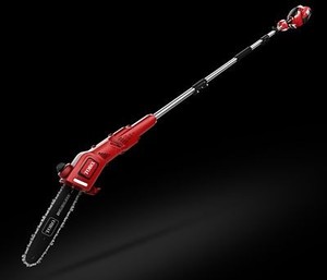 lot 6268 image: 60-Volt Max Flex-Force Cordless Electric 10 in. Pole Saw, Battery Not Included