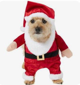 lot 1698 image: Pet Costume