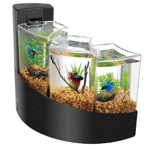 lot 1385 image: Aqueon Betta Falls Aquarium, Black