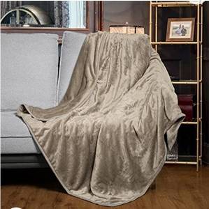 lot 20452 image: Heated Blanket Beige