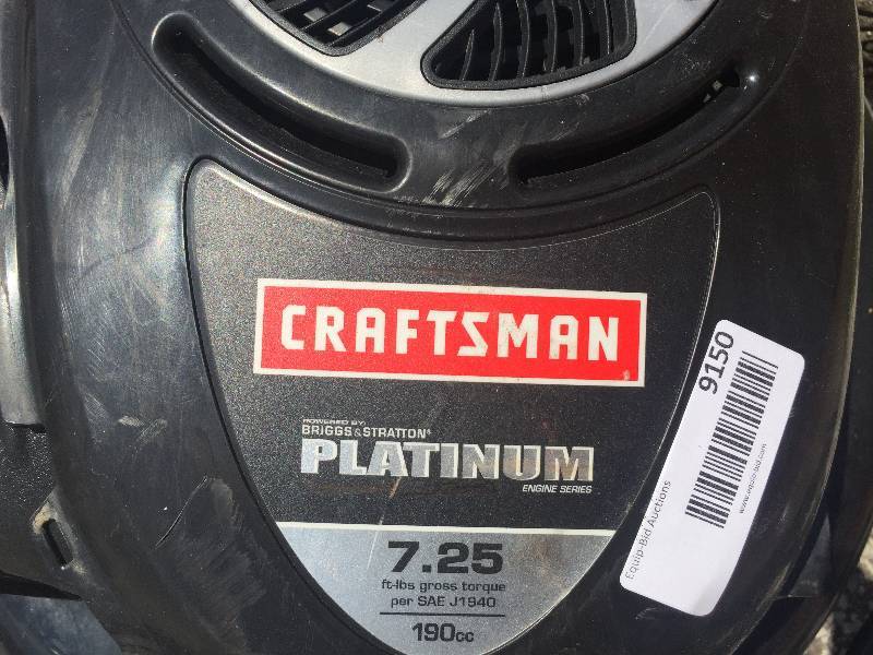 Briggs & stratton store platinum 7.25