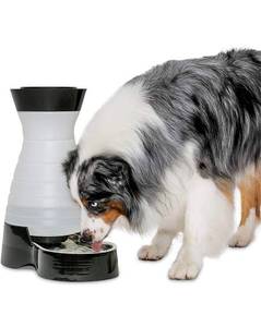 lot 66725 image: PetSafe Healthy Pet Food Station or Water Station - Gravity Feeders or Pet Water Dispensers - Automatic Cat Feeder, Dog Feeder, Pet Feeder - Dog or Cat Water Fountain, Pet Water Fountain, Waterer Open Box