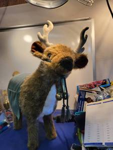 lot 5008 image: reindeer 30 by 30