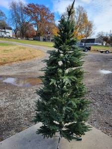 lot 5164 image: 7 Christmas tree