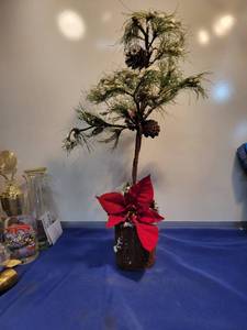 lot 5214 image: 22 tall tree