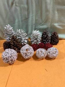 lot 7058 image: Pinecones and miscellaneous