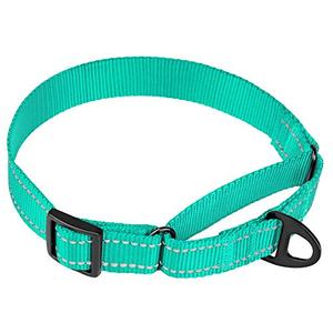 lot 3800 image: Collardirect Reflective Martingale Dog Collar Nylon Training Collars for Small Medium Large Dogs Puppy Pink Orange Green (L, Neck Size 16-24, Mint Green)