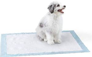 lot 20793 image: AMAZON BASICS PET TRAINING PADS, EXTRA LARGE