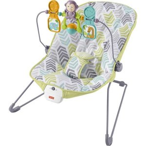 lot 13331 image: Fisher-Price Babys Bouncer - Arrows Away Portable Infant Seat