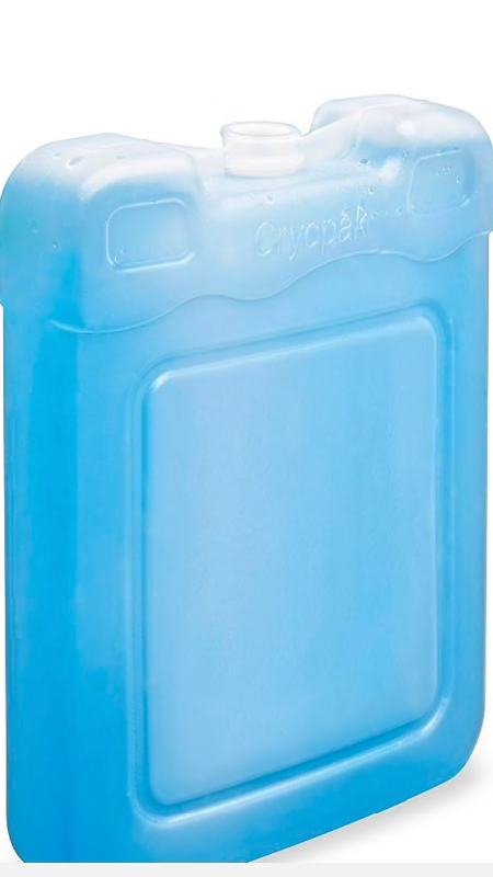lot 284 image: Set of 10 Reusable Cooler Ice Packs