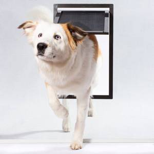 lot 6979 image: PetSafe Pet Screen Door - Dog and Cat Flap for Screen Door, Window, Storm Door and Porch Use, Large