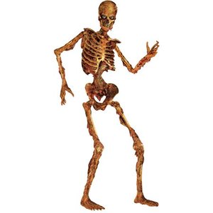 lot 10541 image: 6 ft. Beistle Jointed Skeleton Decoration