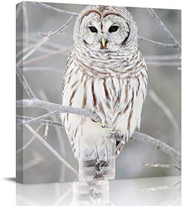 lot 20272 image: Flouky Modern Canvas Wall Art Square Art Painting for Bedroon Living Room Bathroom,The Owl On Branch Winter Landscape Artworks Home Decor,Framed,Ready to Hang,12 x 12 Inch