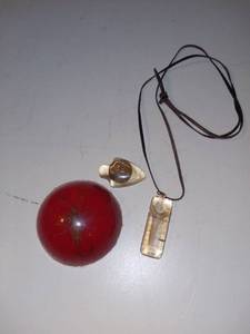 lot 3015 image: Vintage Lucite Scorpion Paperweight Penny and Shark Tooth Necklace