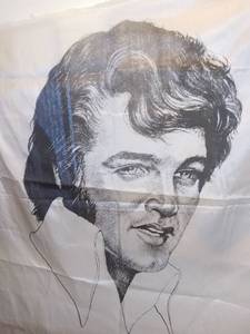 lot 3098 image: Elvis Presley Silk Poster