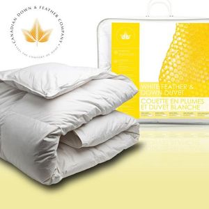 lot 9662 image: Canadian Down & Feather Company White Feather & Down Duvet White King