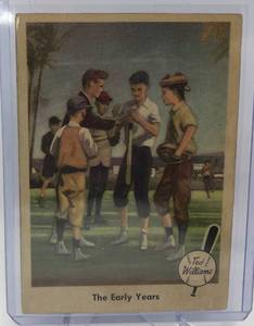 lot 1035 image: Original 1959 Fleer Ted Williams Boston Red Sox Baseball Card #1