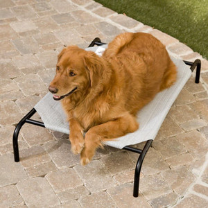 lot 1136 image: Coolaroo The Original Cooling Elevated Pet Bed, Large, Gray