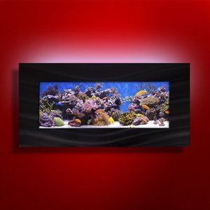 lot 2837 image: Aussie Aquariums 2.0 Wall Mounted Aquarium - Skyline- Retail$347.99