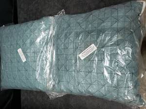 lot 2998 image: MinaVictory Assorted Decorative Pillow Teal, Set of 2, 18  x 18 