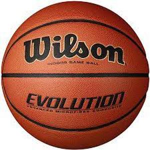lot 2842 image: Wilson Evolution Basketball