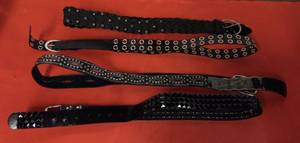 lot 26 image: Multi Style Womens Belts Lot #2