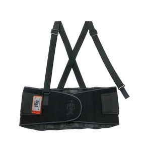 lot 25134 image: Ergodyne ProFlex� 100 Economy Spandex Back Support Brace, Black, XS