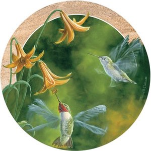 lot 25222 image: Thirstystone Drink Coasters Set, Ruby-Throated Hummingbirds
