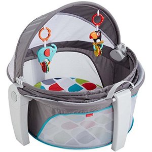 lot 44219 image: Fisher-Price On-the-Go Baby Dome
