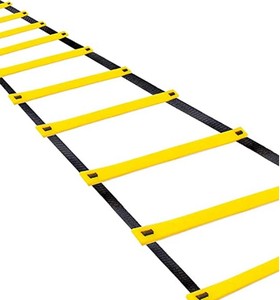 lot 2061 image: Fitness Ladder