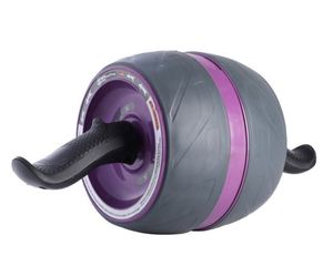lot 2202 image: Workout Wheel