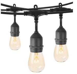 lot 2209 image: String Lights