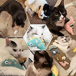 lot 5700 image: Ctznxiy Catnip Toys,Cat Toys for Indoor Cats,8 Pcs Cat Gifts for Cat Lovers,as Friends or Pillows to Accompany The Cat to Spend a Happy Time