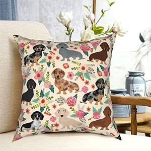 lot 5735 image: Dachshund Sausage Dogs Pink Flowers Print Throw Pillow Cover Modern Decorative Throw Pillow Case Cushion Case for Room Bedroom Sofa Chair Car 18 x 18 Inch