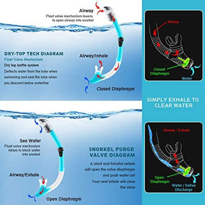 lot 5767 image: Mask Fin Snorkel Set with Adult Snorkeling Gear, Panoramic View Diving Mask, Trek Fin, Dry Top Snorkel Travel Bags, Snorkel for Lap Swimming