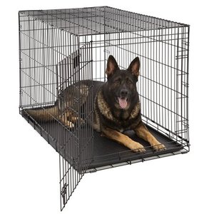 lot 6004 image: MidWest LifeStages Single Door Dog Crate, 48