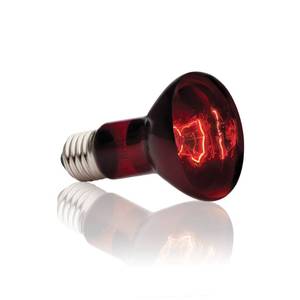 lot 6013 image: Exo Terra Heat-Glo Infrared Spot Lamp, 75-Watt120-Volt