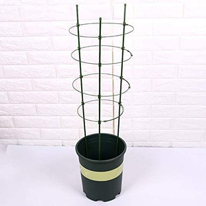 lot 7024 image: Mini Trellis for Plants Support 4-Rings, 3 pack Green