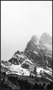 lot 7058 image: 29 14 x 49 12 inch black frame
