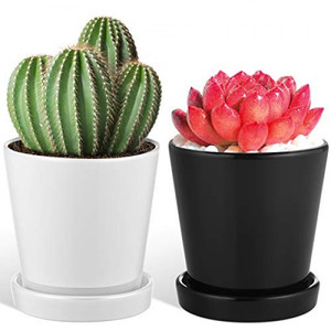 lot 9719 image: CERAMIC POTS FOR INDOOR PLANTS
