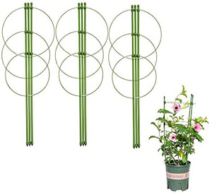 lot 9806 image: Mr.Garden Mini Trellis Garden Trellis for Potted Climbing Plants