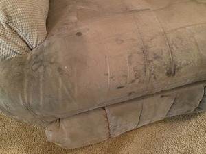 lot 255 image: Recliner w cover- See pictures for damage