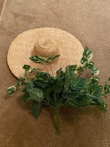 lot 256 image: Sun hat greenery