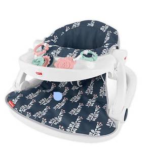 lot 17179 image: Fisher-Price� Navy Garden Sit-Me-Up Floor Seat