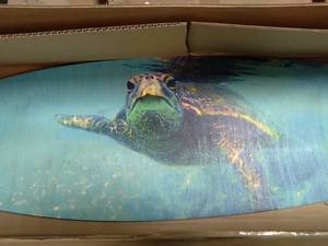 lot 63202 image: SEA TURTLE SURF BOARD WALL DECOR