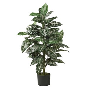 lot 37267 image: 36 x 20 Artificial Zebra Silk Plant in Wicker Pot - Nearly Natural