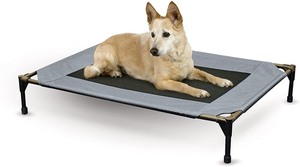 lot 37220 image: Pet Cot Elevated Dog Bed GrayBlack Mesh Large 30 X 42