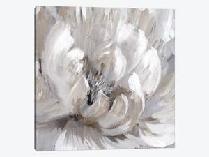 lot 7432 image: iCanvas Burst Of Spring II by Nan Canvas Print