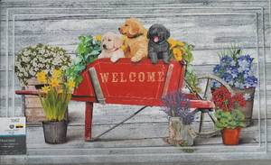 lot 3062 image: Welcome Mat